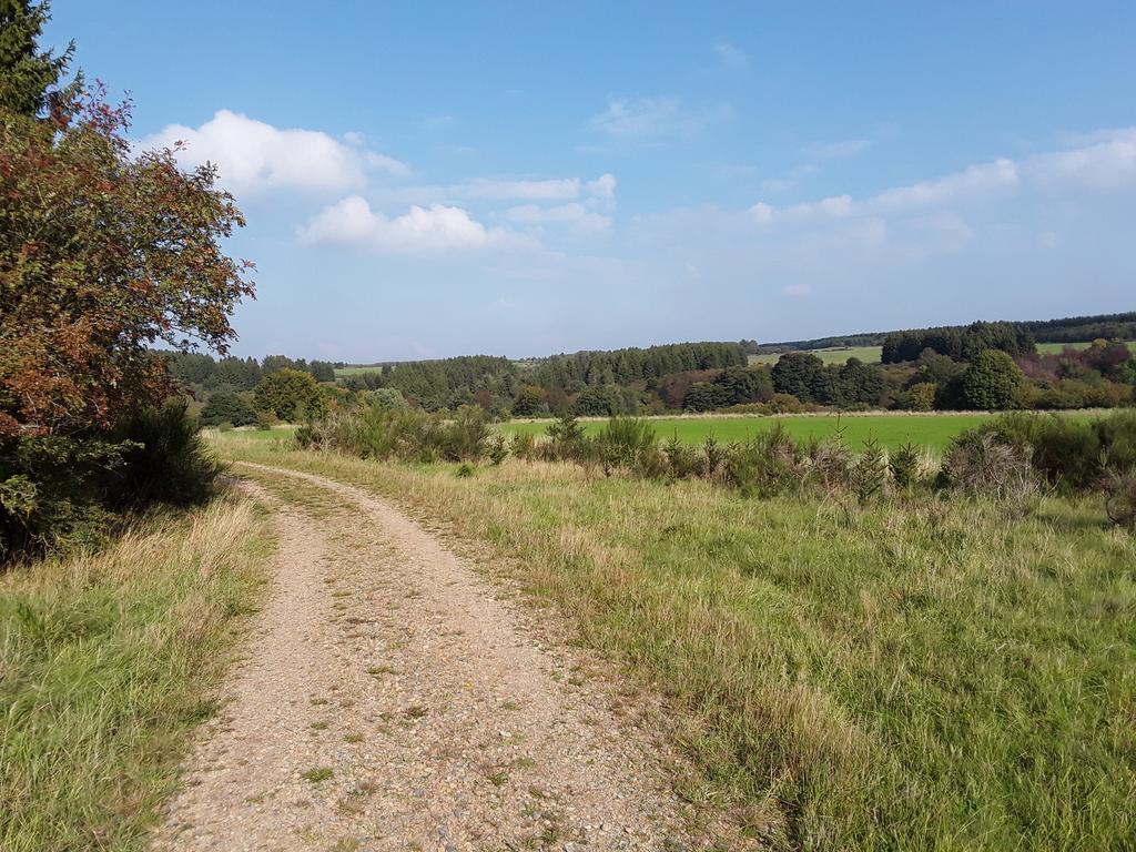 Pöhl am Nationalpark Eifel Apartman Schleiden Kültér fotó