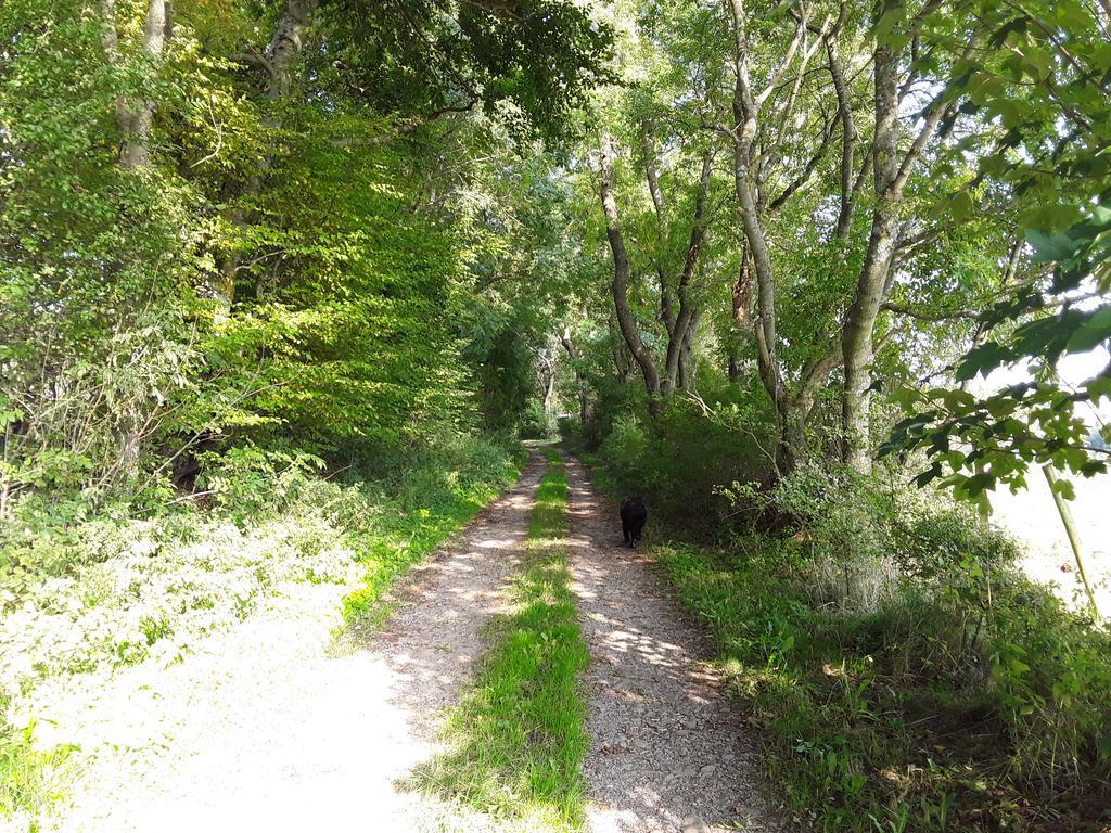 Pöhl am Nationalpark Eifel Apartman Schleiden Kültér fotó