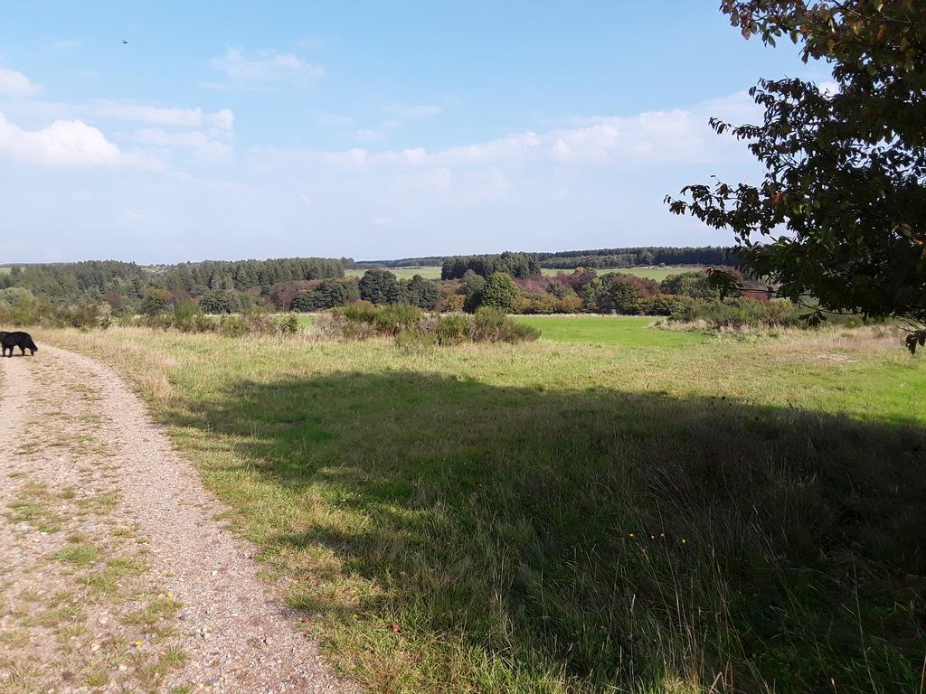 Pöhl am Nationalpark Eifel Apartman Schleiden Kültér fotó