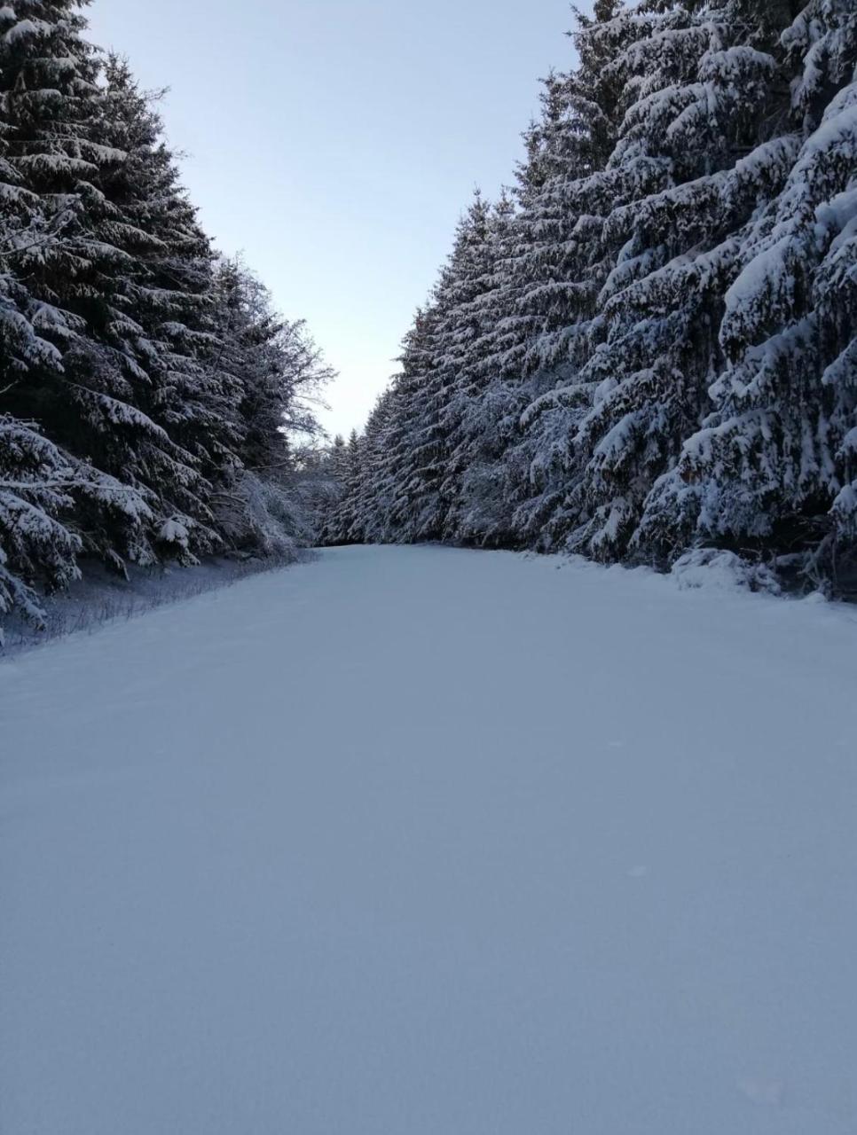 Pöhl am Nationalpark Eifel Apartman Schleiden Kültér fotó